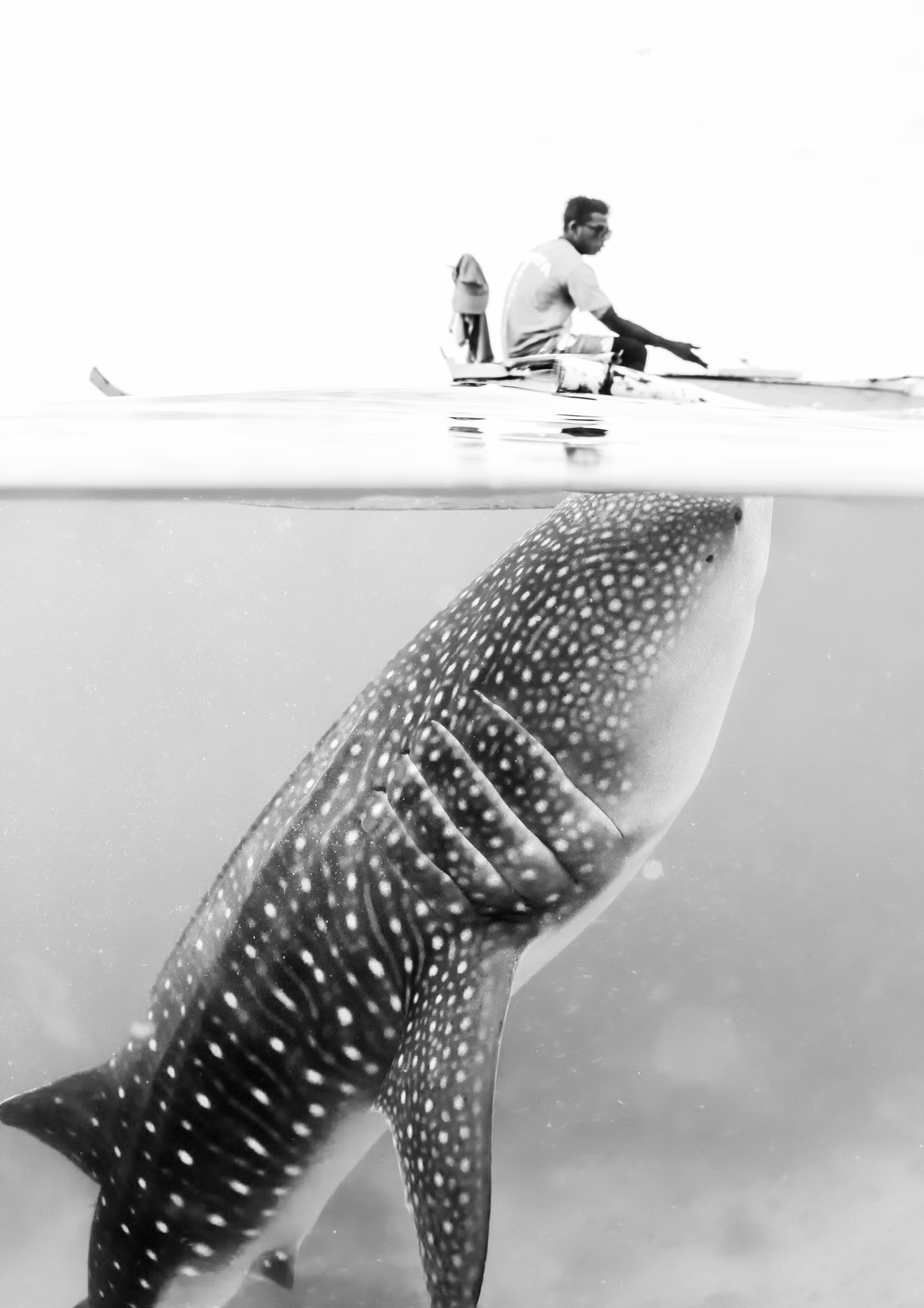 Popular Photography My Pet Fish Award