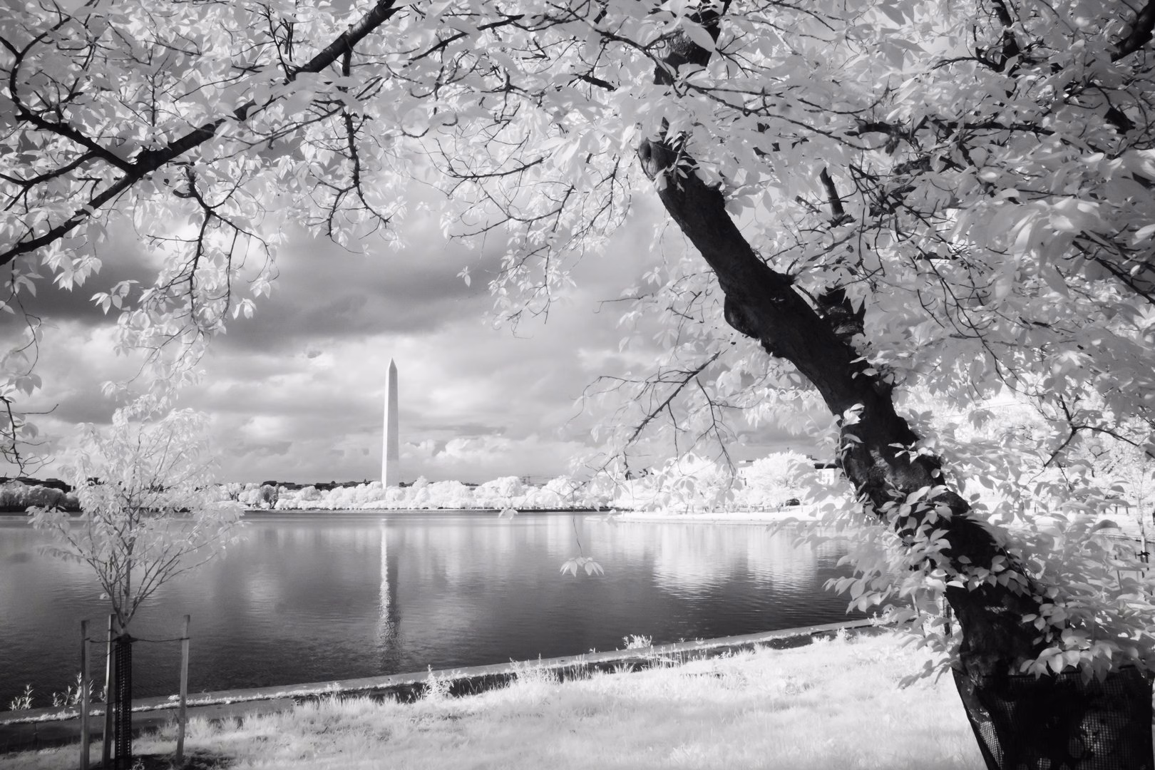 IRregularity - photo 18