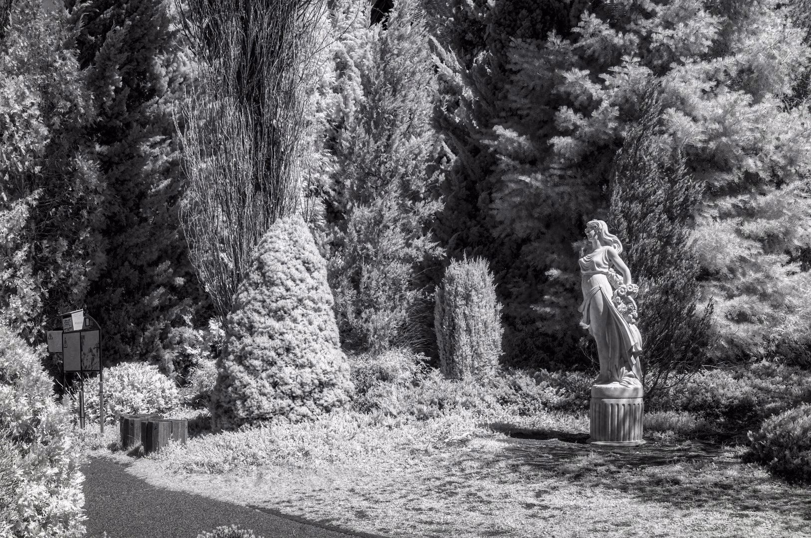 IRregularity - photo 10