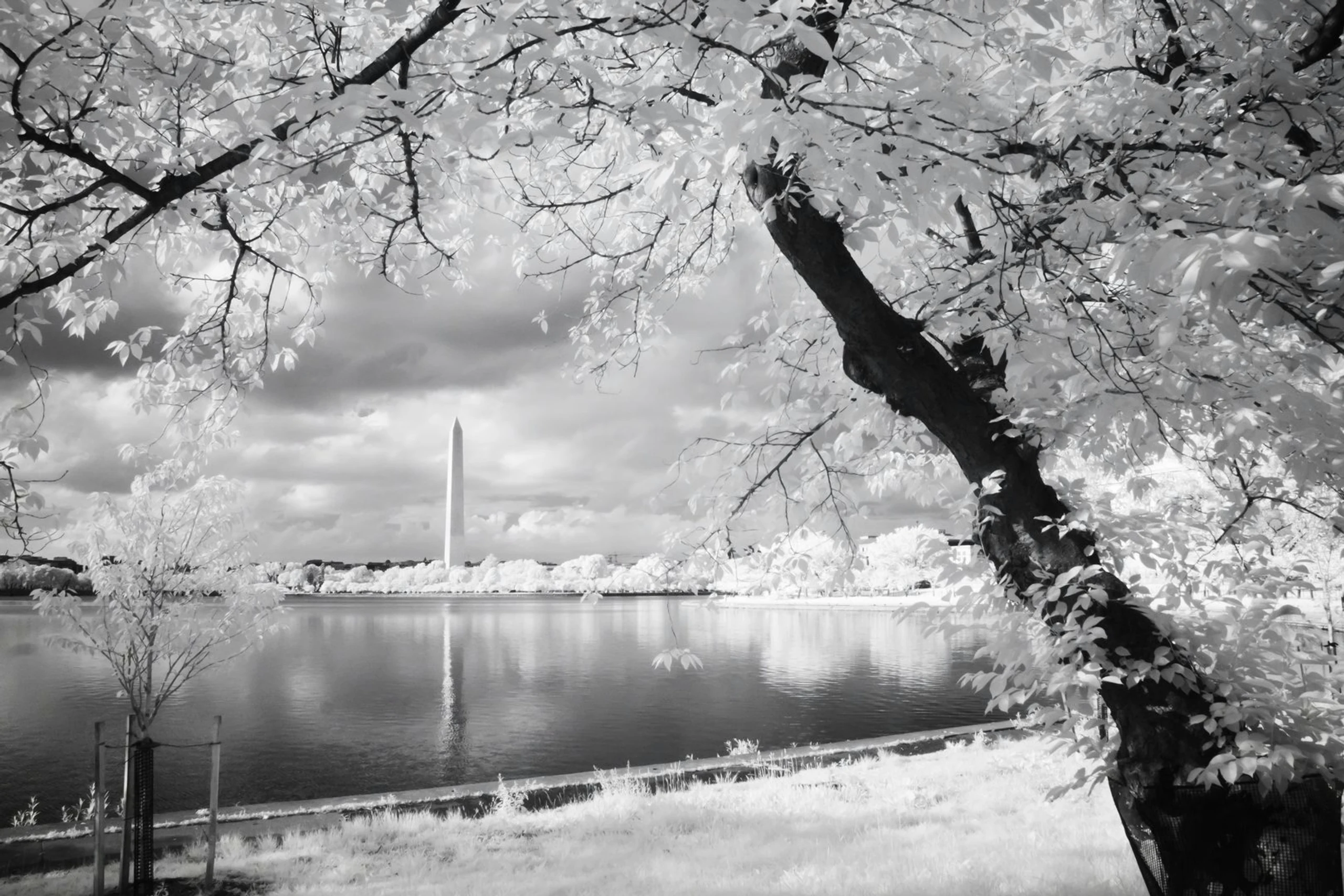 IRregularity - photo 14