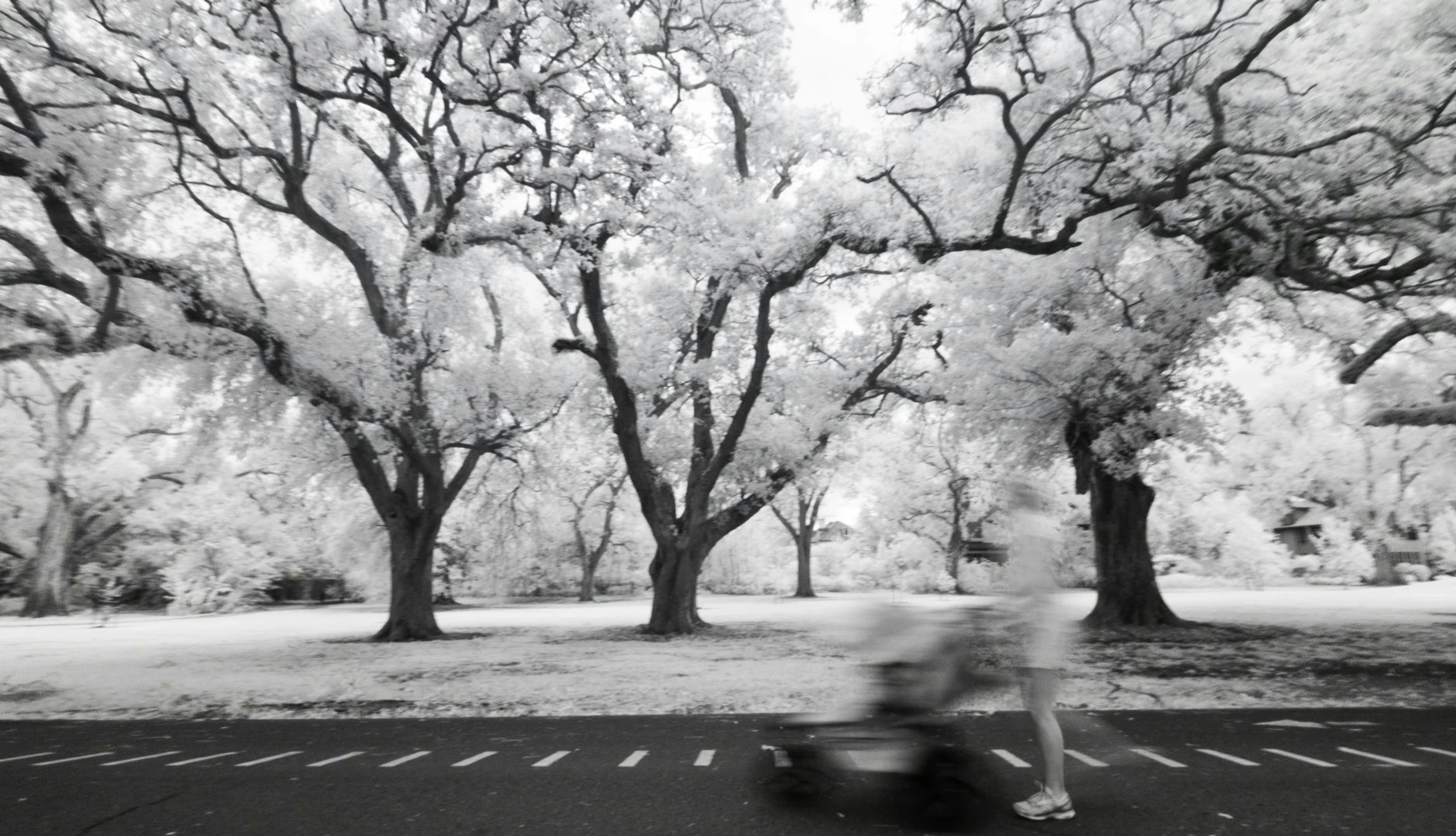 IRregularity - photo 15