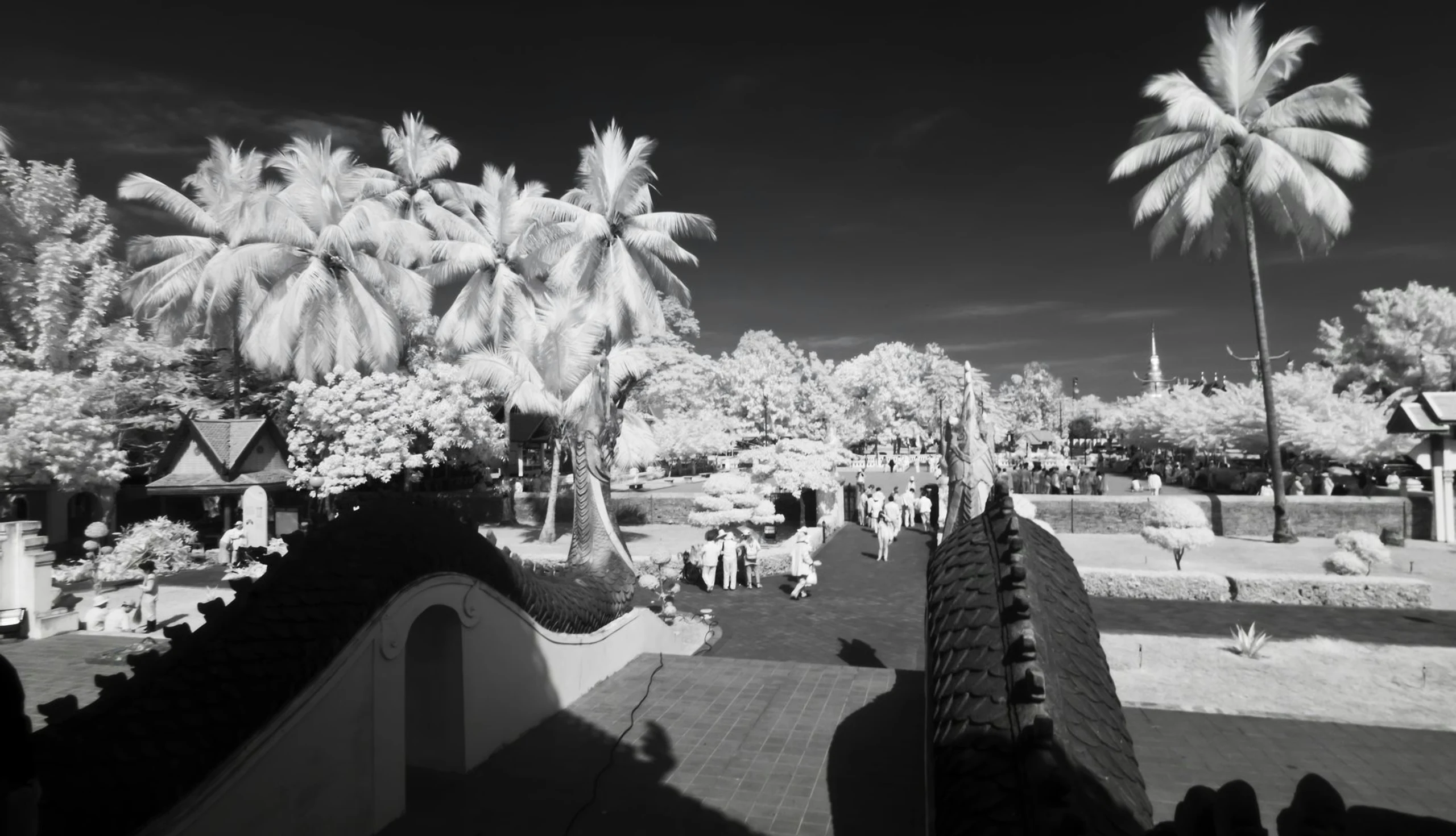 IRregularity - photo 17