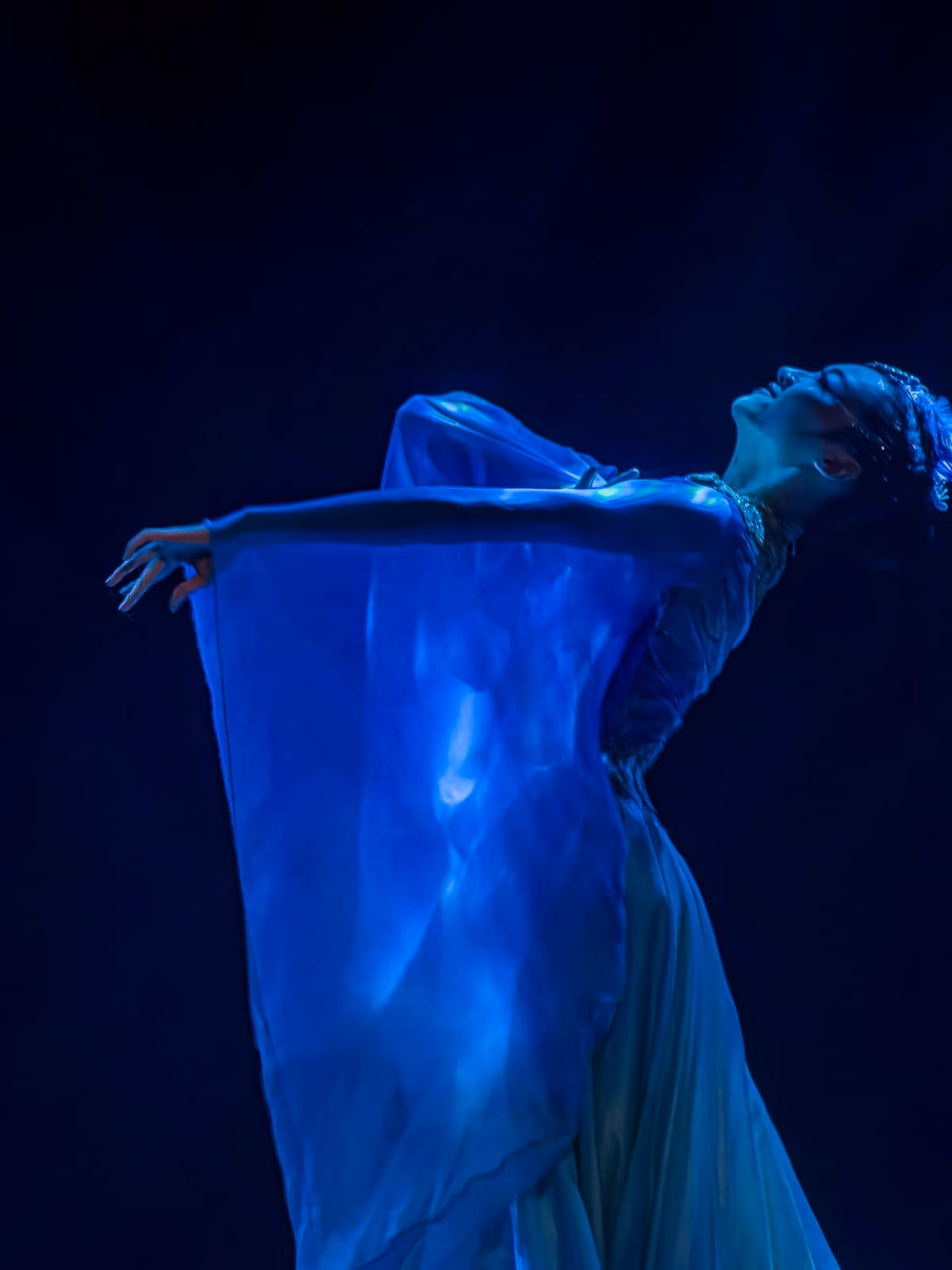 Choreographic Flows - photo 1
