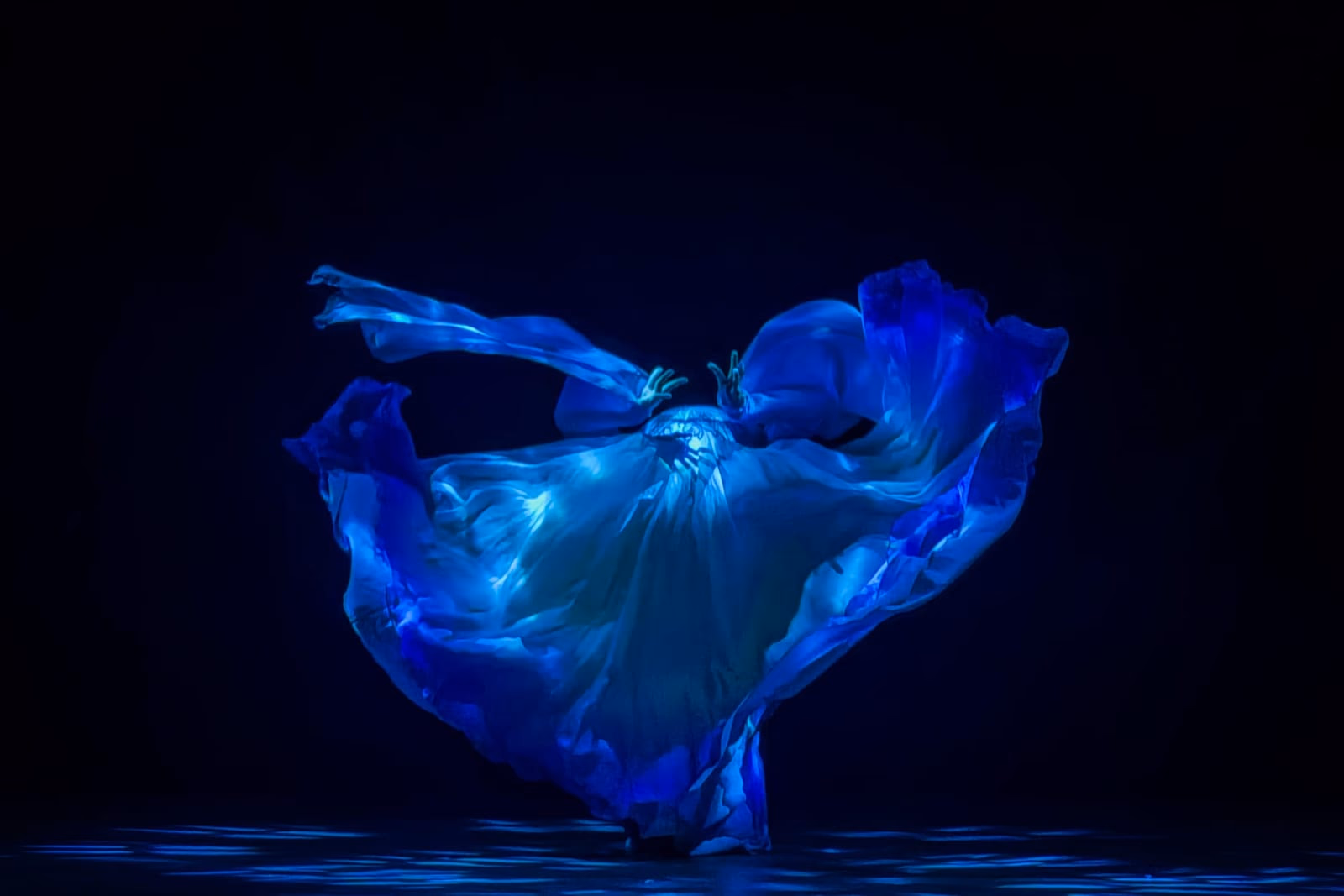 Choreographic Flows - photo 4
