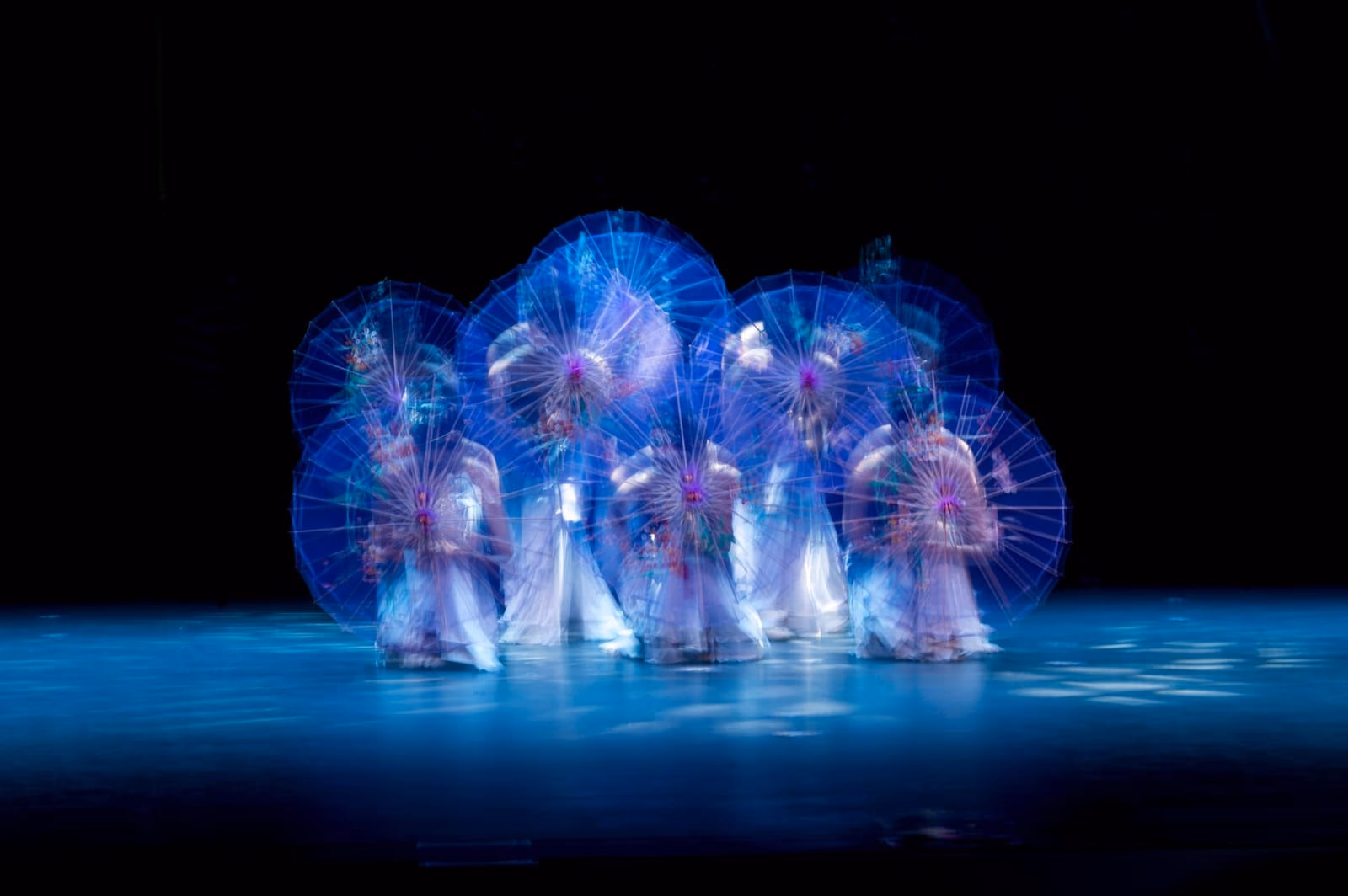 Choreographic Flows - photo 7