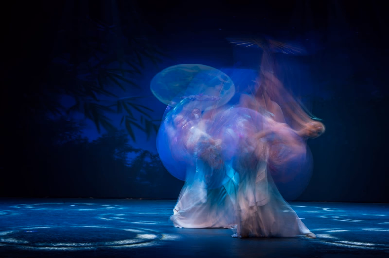 Choreographic Flows - photo 8