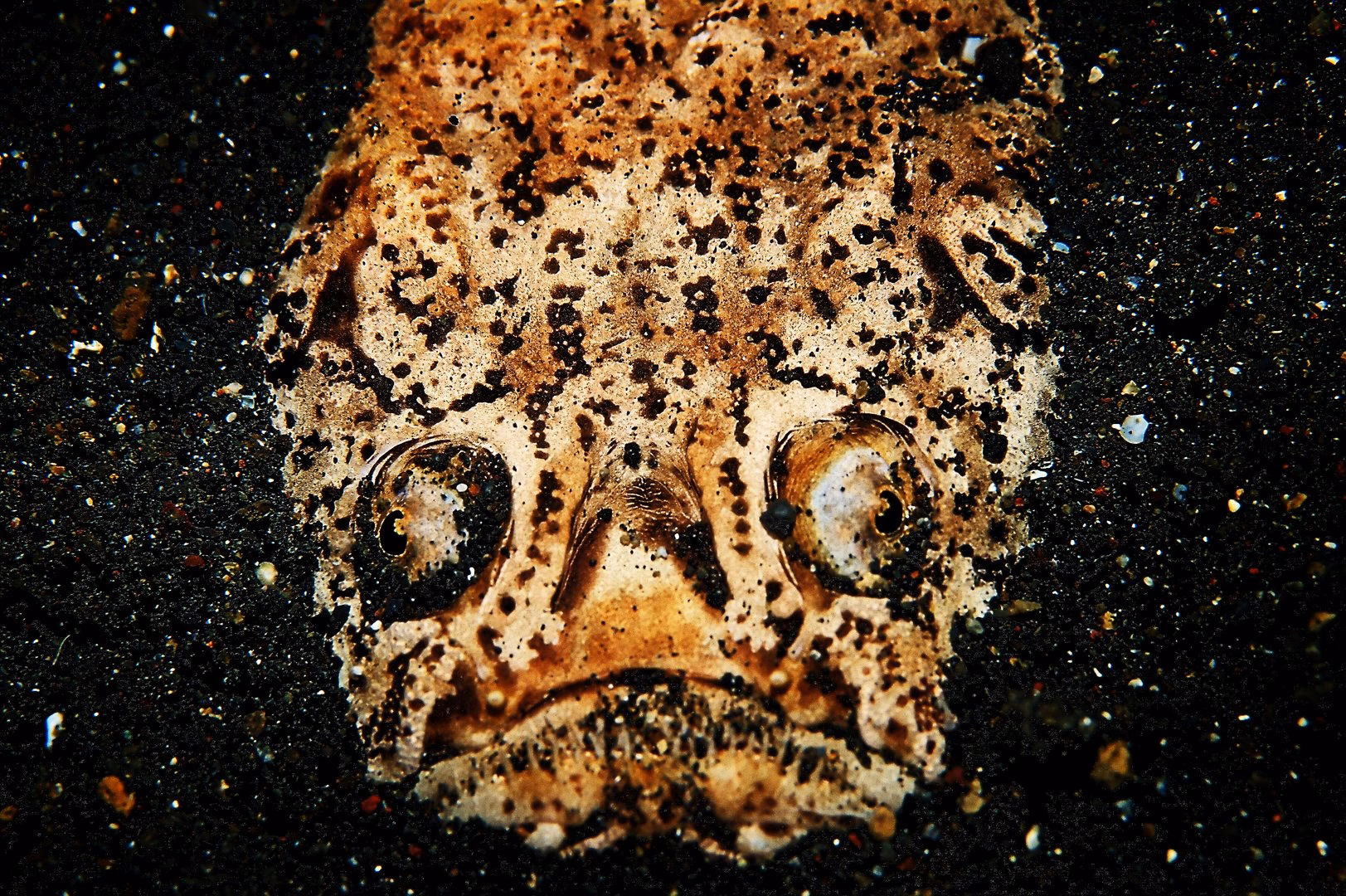 Marine Camouflage - photo 11