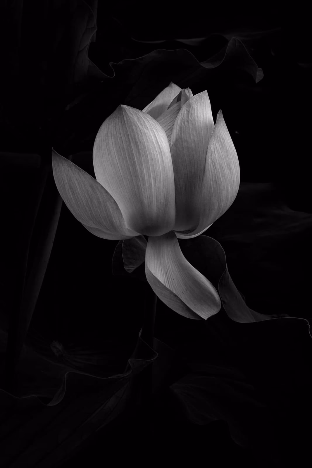 Shapes of Nanjing - photo 3