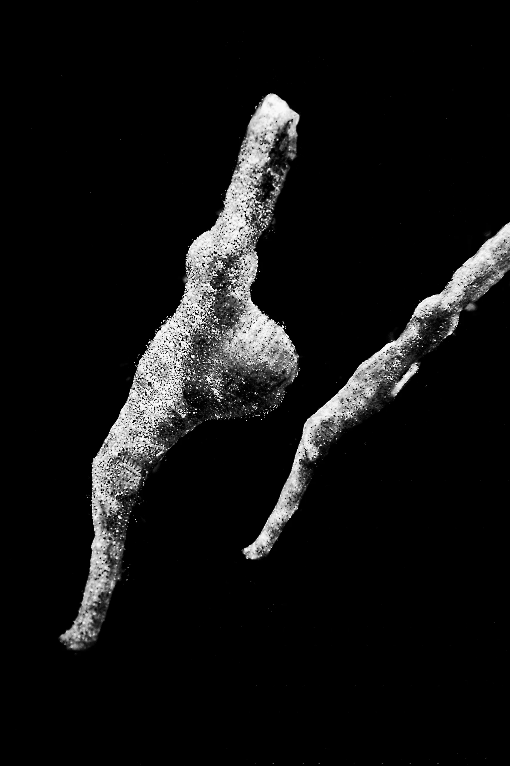 Subaquatic Monochrome - photo 13