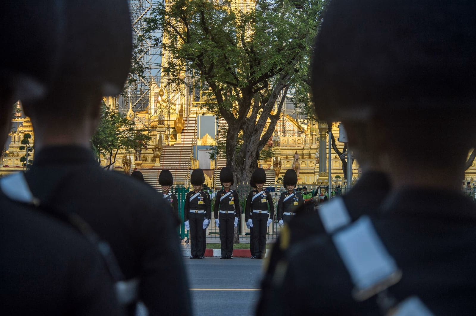 The Royal Farewell - photo 4
